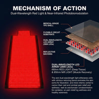 2026 Upgraded All-In-One Red Light Therapy Mat Full Body, FSA&HSA Eligible,75” X 35” Medical-Grade TPU Red Light Blanket with 2600 Dual-Wavelength Leds (660Nm Red & 850Nm NIR) for Pain Relief — How It Works