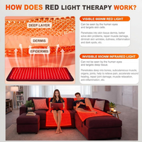Red Light Therapy Mat Designed for Full Body Treatment, 2600 Dual-Wavelength LEDs, Medical-Grade TPU, 75x35 Inches